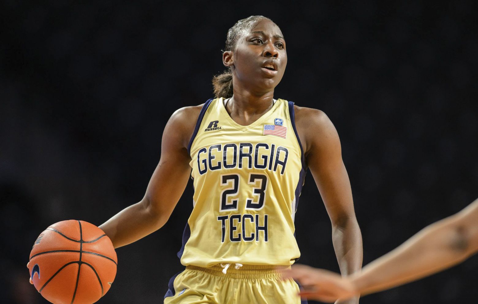 SYDNEY WALLACE has signed with Catz